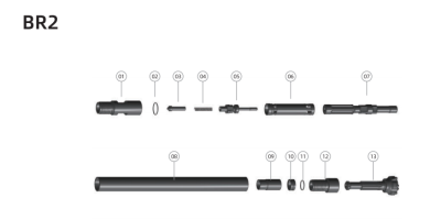 BR2